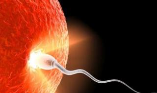 怀孕多久可以做b超